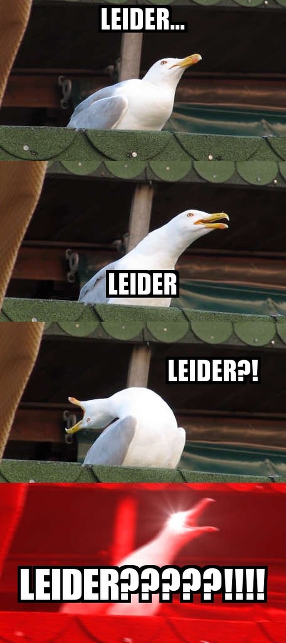 Jetzt (leider) vorbei – der Hitzesommer in 4 Grafiken
LEIDER???!!!