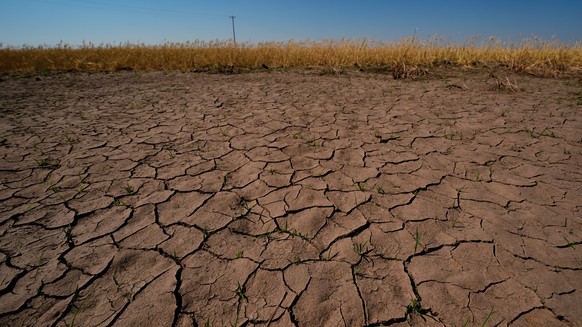 FILE - Drought-stressed wheat plants stand adjacent to parched ground in a field near Macksville, Kan., May 16, 2026. (AP Photo/Charlie Riedel, File)
Climate El Nino
