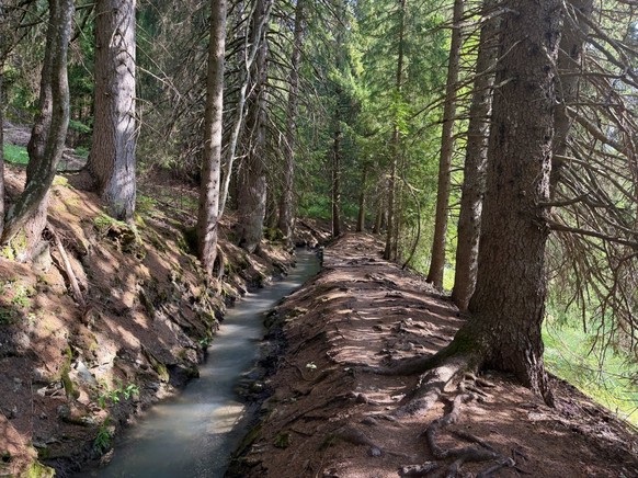Bisse d'Ayent Suonenwandern Suonen Bisse Rauszeit Wandern Schweiz Suonenwanderung