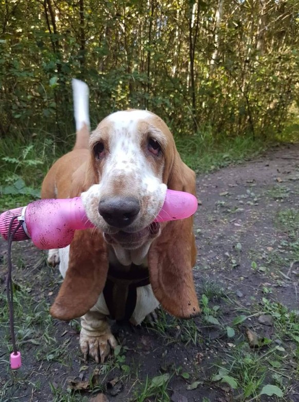 Über 30 tierisch witzige Bilder und GIFs *badum ts!*
Komischer regenschirm 😂