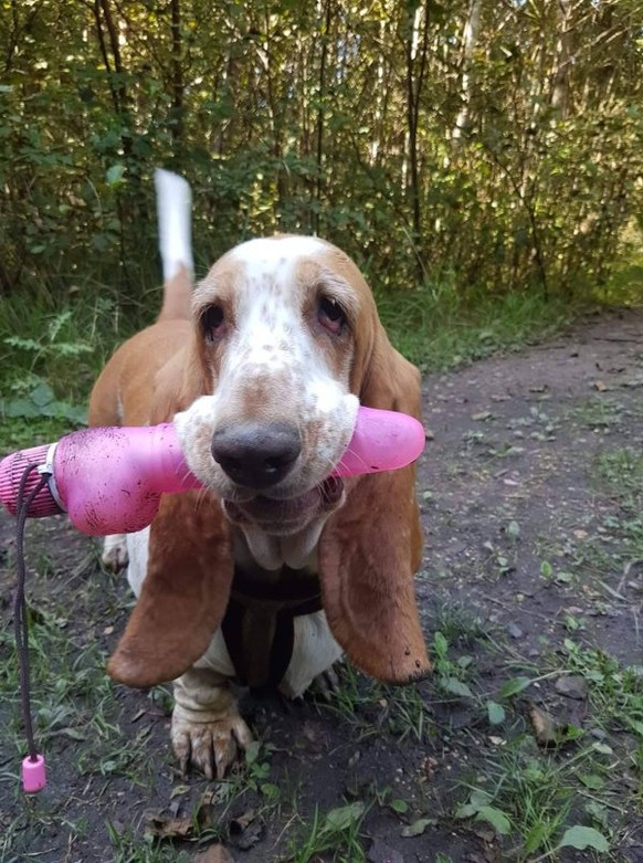 Ãber 30 tierisch witzige Bilder und GIFs *badum ts!*
Komischer regenschirm ð