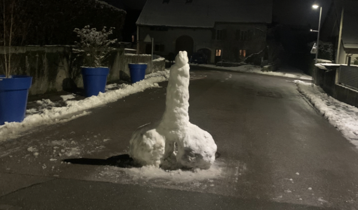Ce pénis géant fait rire tout un village romand