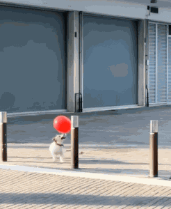 Animiertes GIF