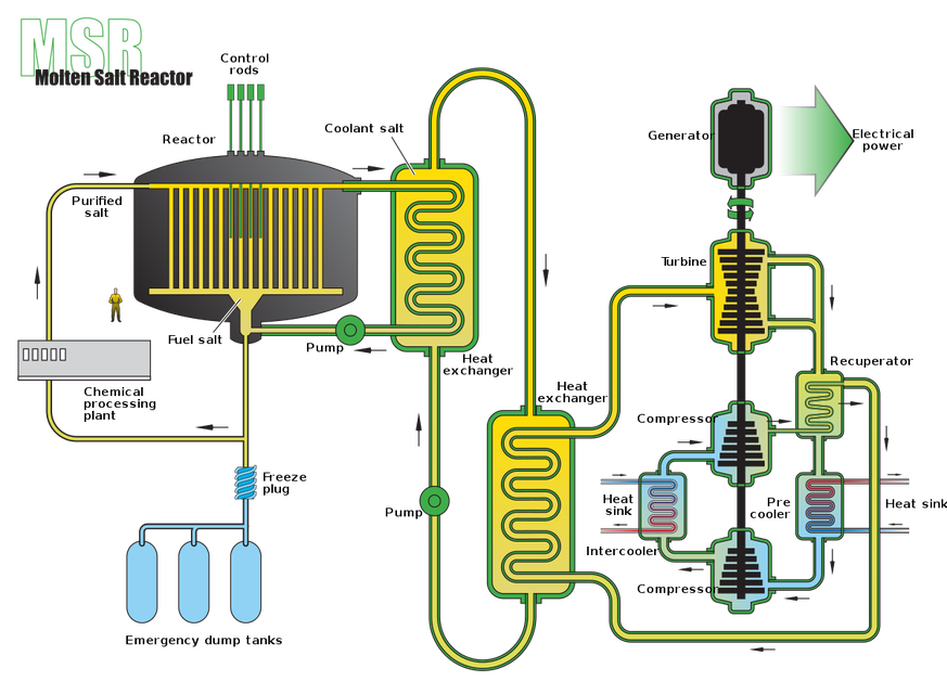 Schema eines Flüssigsalzreaktors (am Beispiel des Single Fluid MSR).