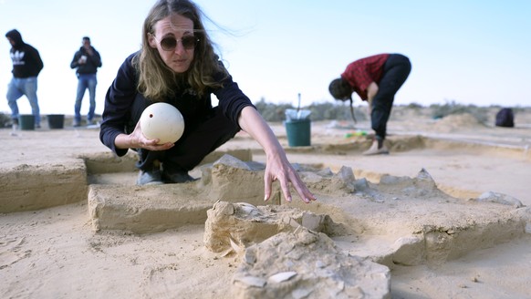 Archäologen haben acht Jahrtausende alte Strausseneier in der israelischen Negev-Wüste entdeckt.