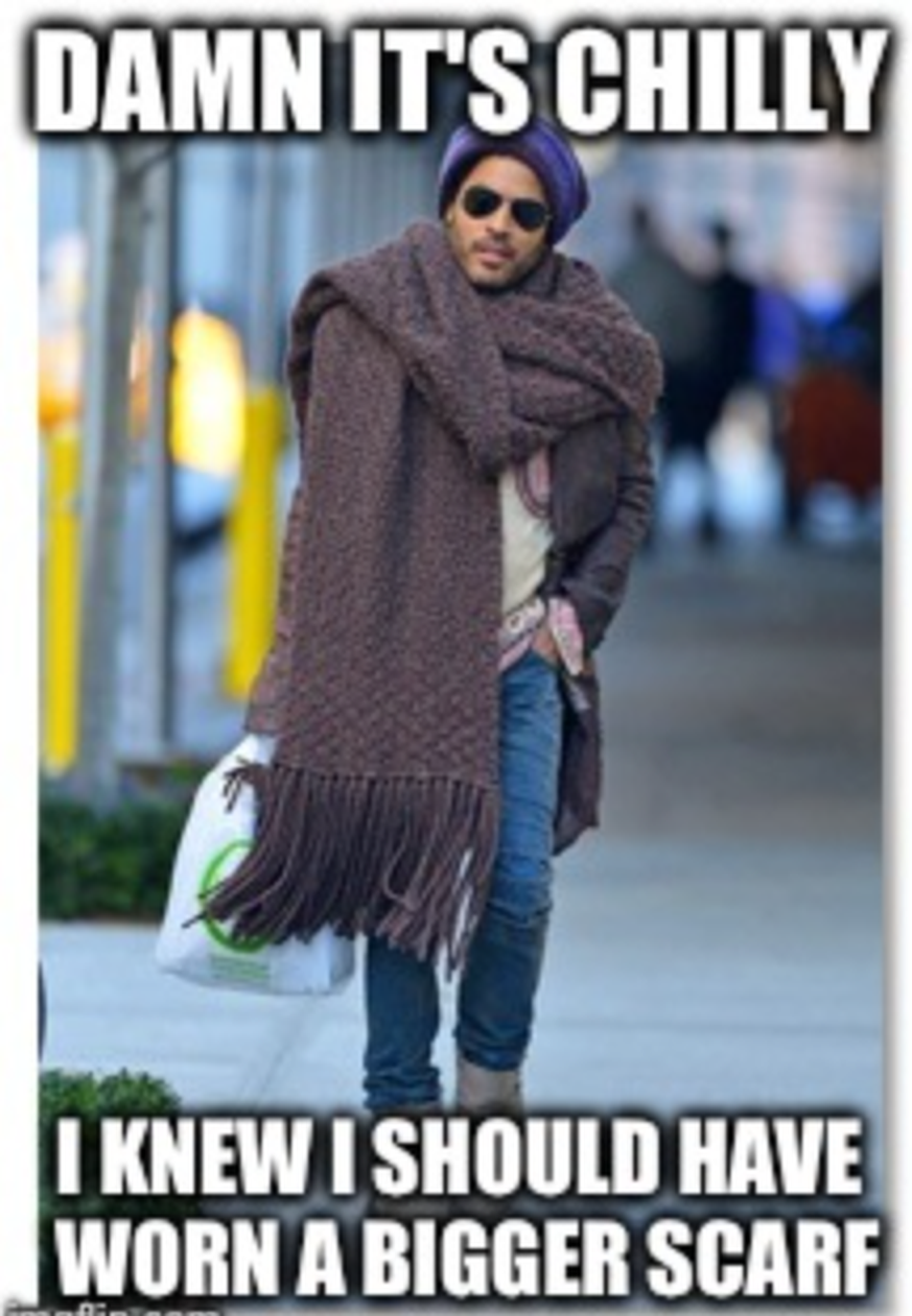 Lenny Kravitz Scarf Meme