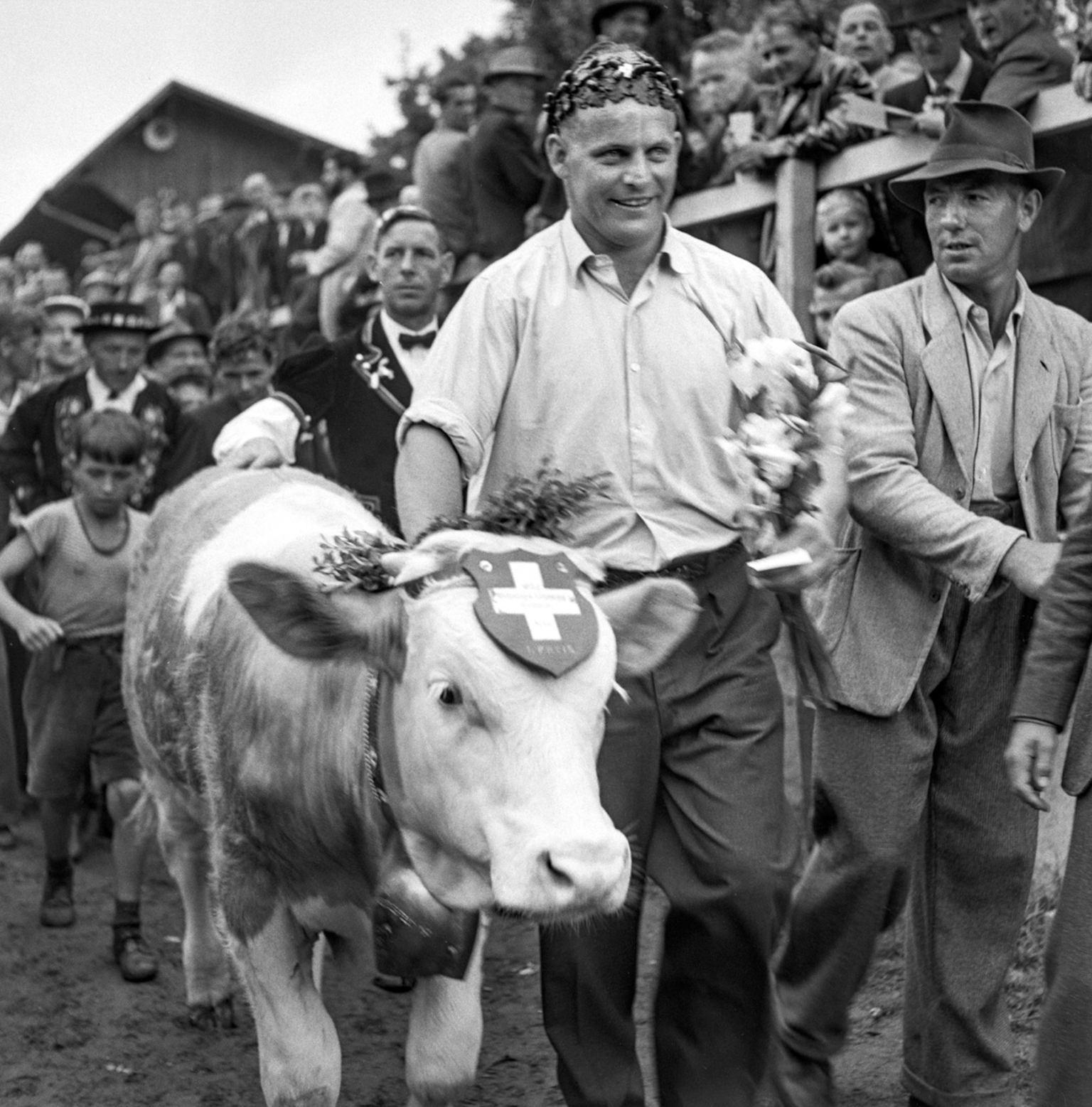 Der Schwinger und Erstgekrönte Walter Flach mit Siegermuni bei der Siegerehrung.