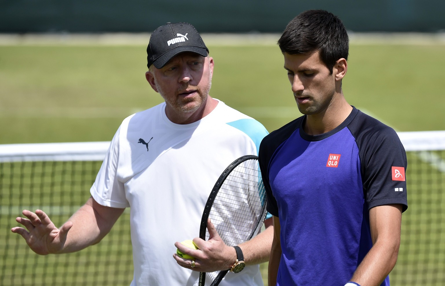 Kann Boris Becker Novak Djokovic zum zweiten Wimbledon-Triumph coachen?