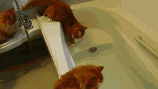 Animiertes GIF