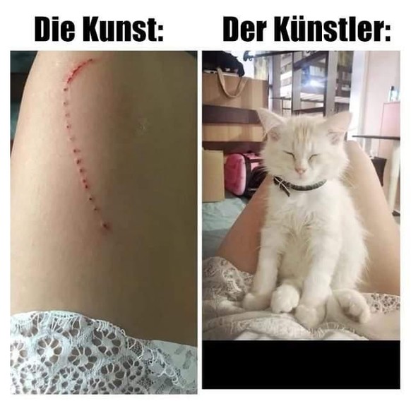 31 Mal: «Jööö», «OMG 😍» oder «Ohh wie süss» – die Cute News sind da!
Des Künstlers Kunst