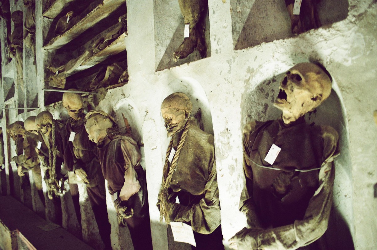 [UNVERIFIED CONTENT] If you go to Sicily you can't miss the capuchin catacombs of Palermo, something that confirms the ghoulish side of this city. A cemetery that contains 8000 mummies, lined upo ...
