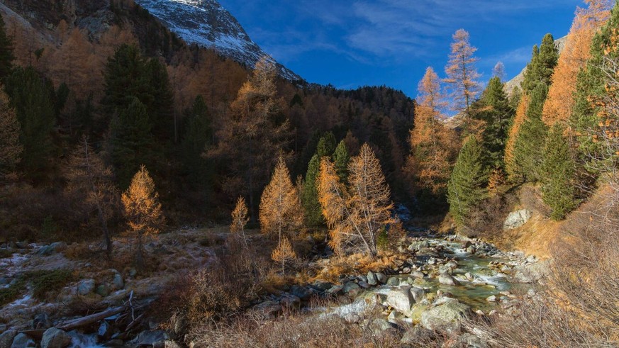 Gewässerperlen Schweiz wilde naturnahe Schweizer Flüsse unberührt Flusswanderungen Rauszeit Beverin