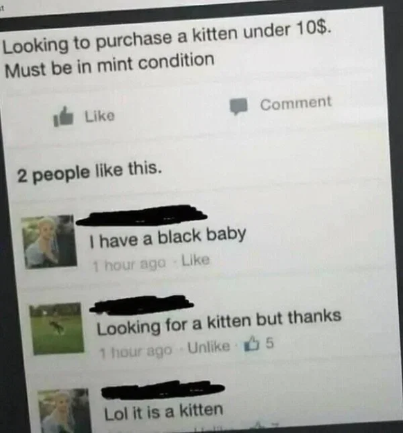 «Suche ein Katzenbaby in makellosem Zustand für unter $10.» – «Ich hätte ein schwarzes Baby.» – «Ich suche ein Katzenbaby, aber danke.» – «Es ist ein Katzenbaby.» 