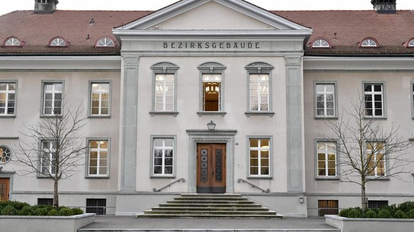 Buelacher Bezirksgericht am Dienstag, 28. November 2017. Die Oberzolldirektion hat dem Kunstsammler, Financier und Dolder-Hotelier Urs E. Schwarzenbach eine Busse von 4 Millionen Franken auferlegt. De ...