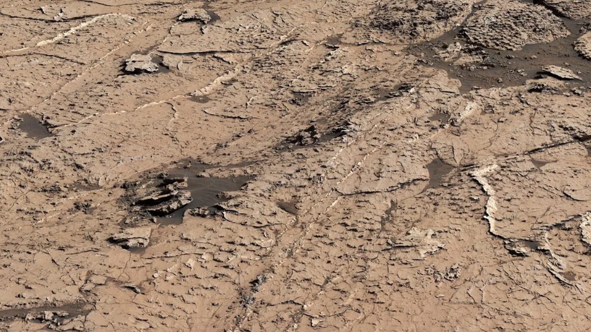 A rover makes a strange discovery on Mars