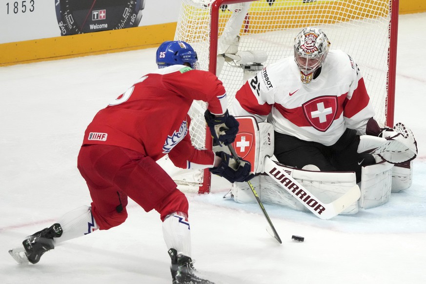 Radan Lenc of Czech Republic, left, fights for a puck with goalie Robert Mayer of Switzerland during the group B match between Czech Republic and Switzerland at the ice hockey world championship in Ri ...