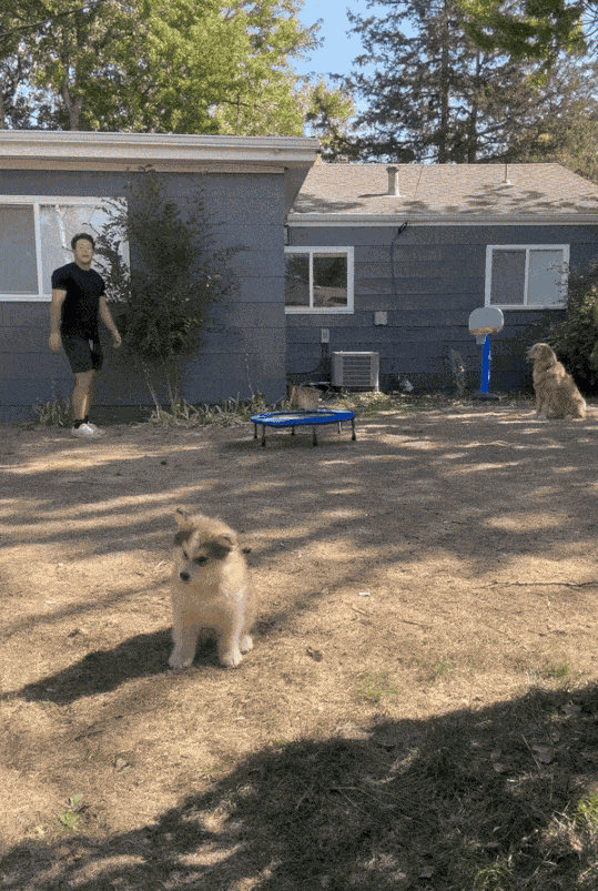 Animiertes GIF