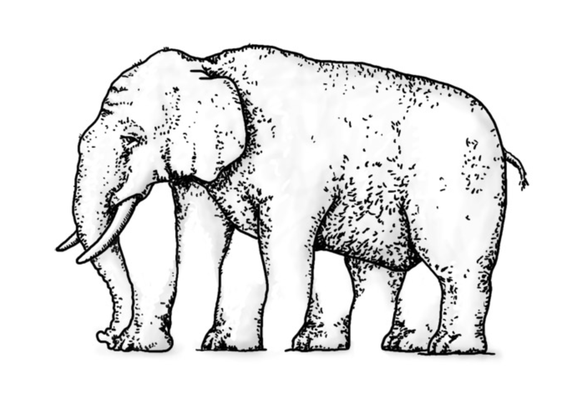 Wie viele Beine hat der Elefant?