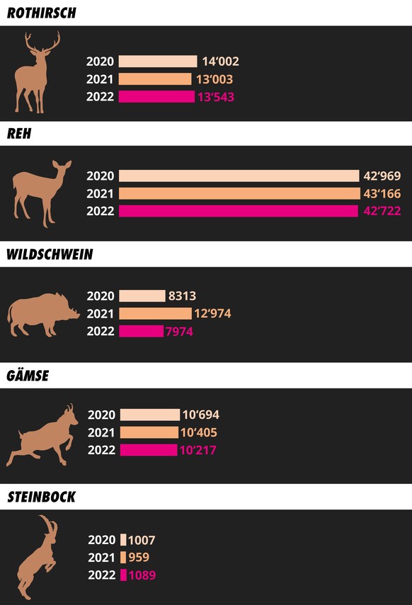 Development of the number of animals shot