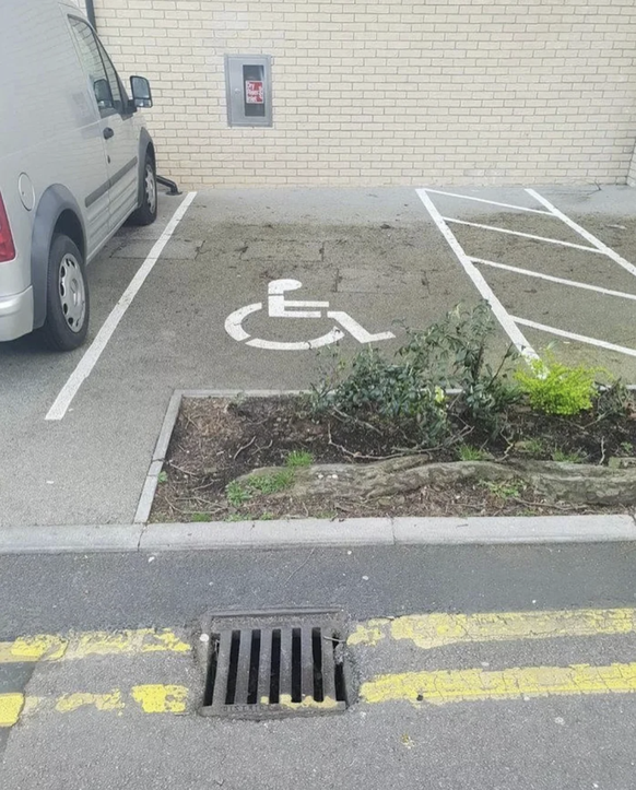 Die lustigsten Fails der Woche: Behindertenparkplatz