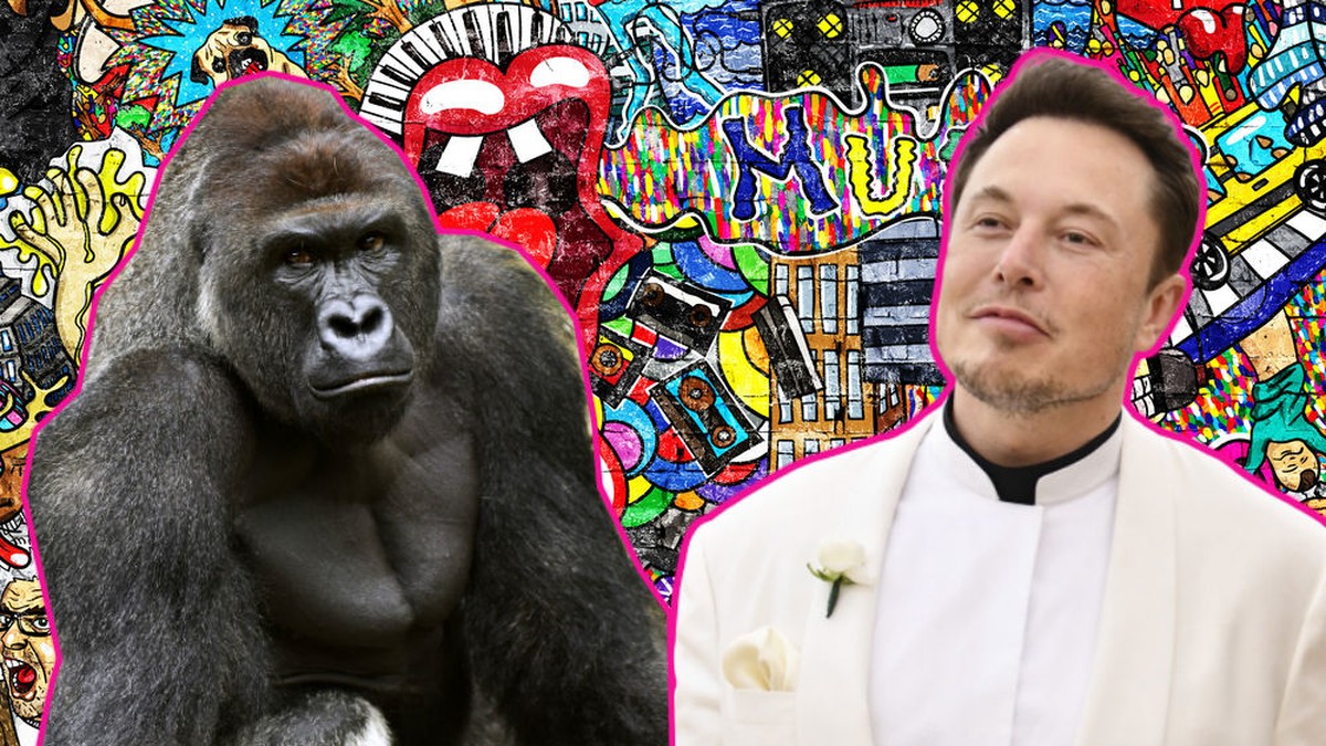 Elon Musk macht Rap-Song mit Titel «RIP Harambe»
