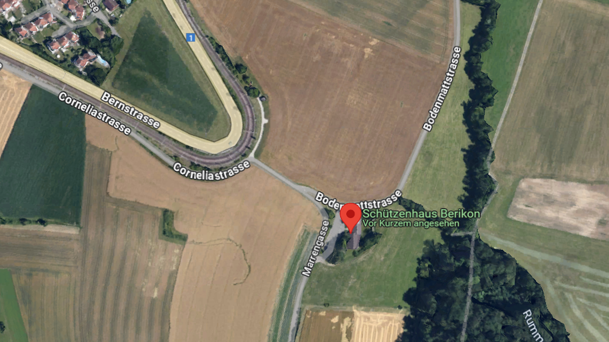 schwerverletzt-im-wald-aufgefunden-15-j-hrige-in-berikon-ag-get-tet