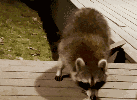 Animiertes GIF