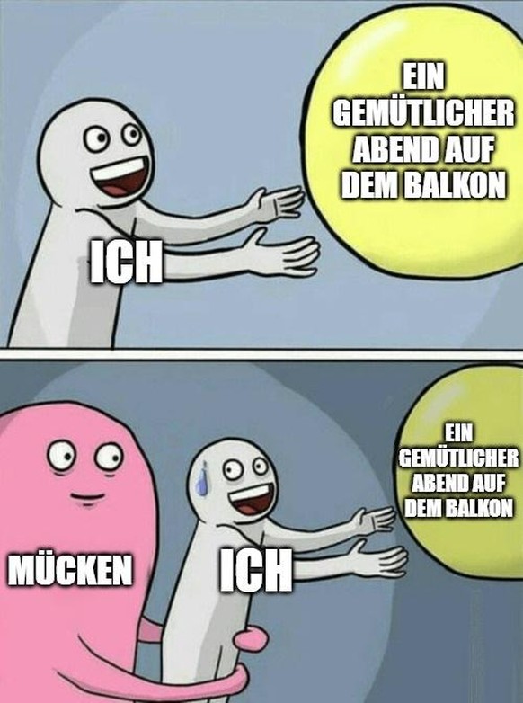 Sommer Memes