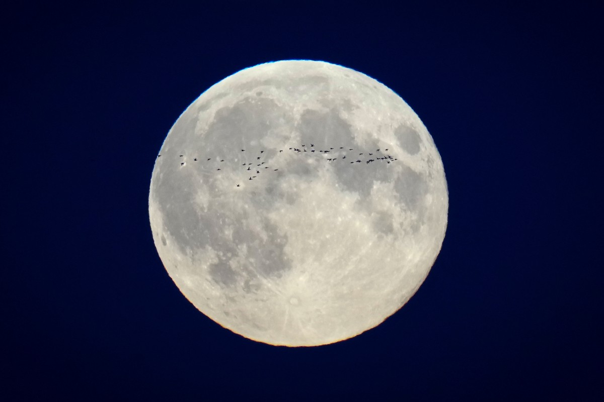 A flock of birds fly in front of the full moon over the city centre in Tallinn, Estonia, Thursday, Oct. 17, 2024. (AP Photo/Sergei Grits)