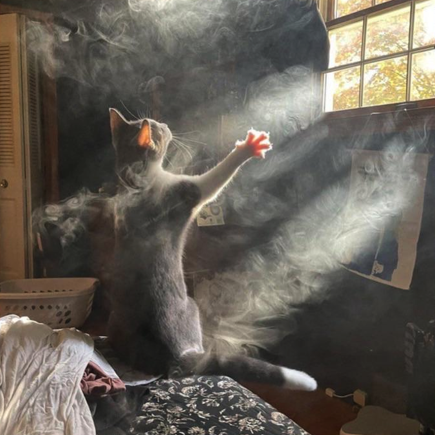 A little reminder of what « accidental renaissance » is supposed to look like

https://www.reddit.com/r/AccidentalRenaissance/comments/1u1hf2i/a_little_reminder_of_what_accidental_renaissance/
