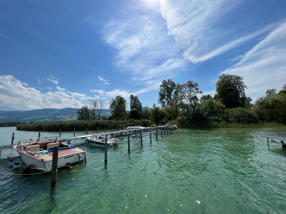 Campingplätze der Schweiz Rauszeit Familiencamping Insel Lützelau