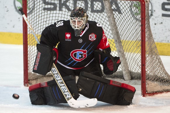 Der 19-jährige Melvin Nyffeler kommt bei Fribourg als Backup für Benjamin Conz.