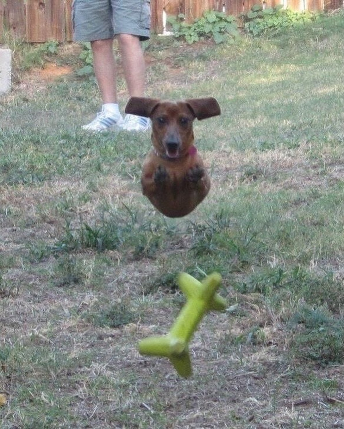 cute news tier hund

https://www.instagram.com/p/DIRAPOBCPfE/?img_index=6