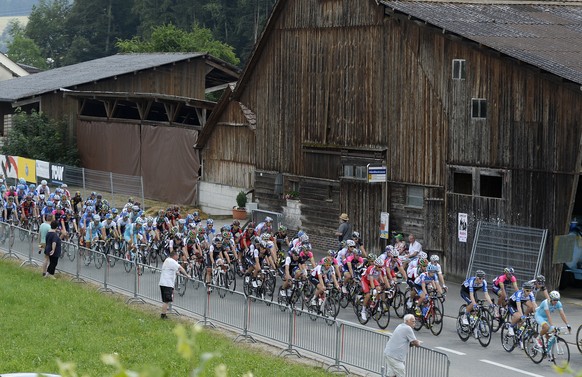 Das Feld des 51. Grossen Preises des Kantons Aargau in Grippigen am Donnerstag, 12. Juni 2014. (KEYSTONE/Walter Bieri)