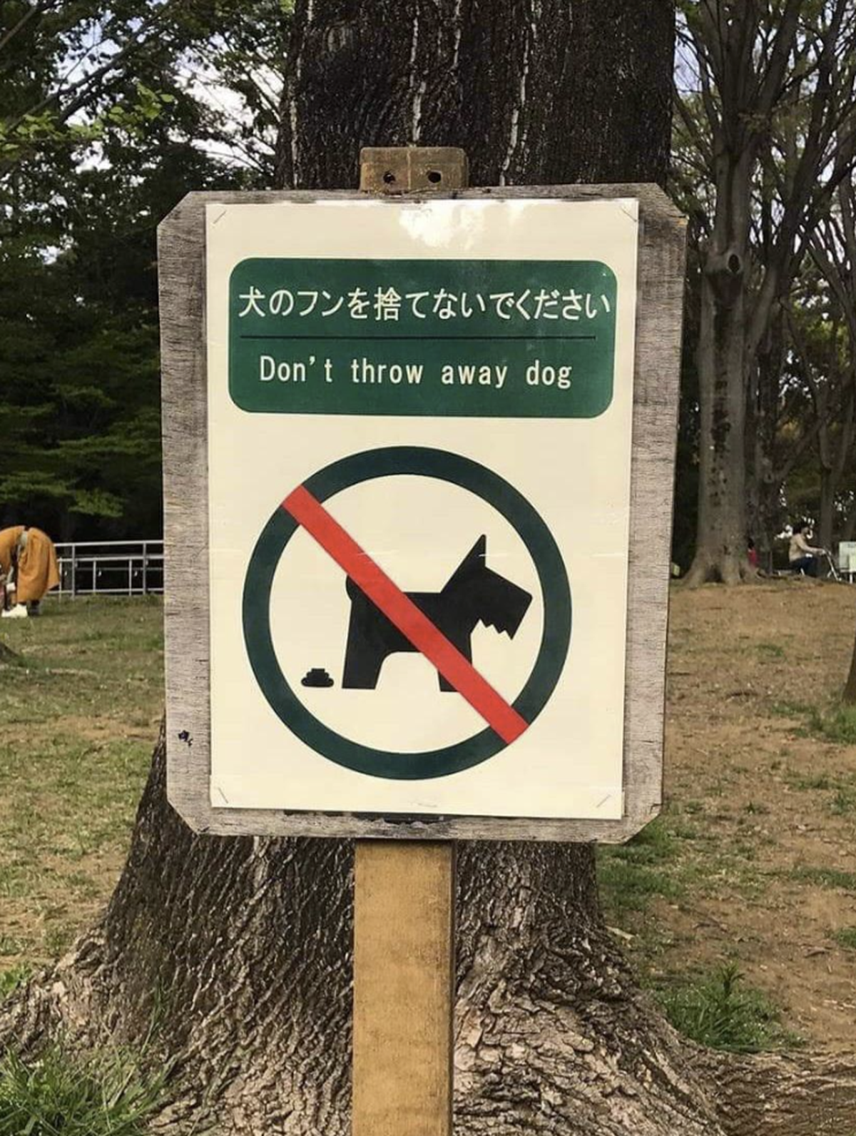 Fails der Woche: Übersetzungsfehler Japanisch Englisch
