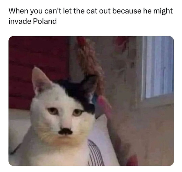 https://www.instagram.com/p/Cr-tpM9qZU2/