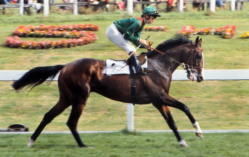 Bildnummer: 13668152 Datum: 12.09.1981 Copyright: imago/Colorsport
Horse Racing - 1981 St. Leger Stakes - Doncaster Shergar, ridden by Walter Swinburn, on the way to a surprise defeat and fourth plac ...