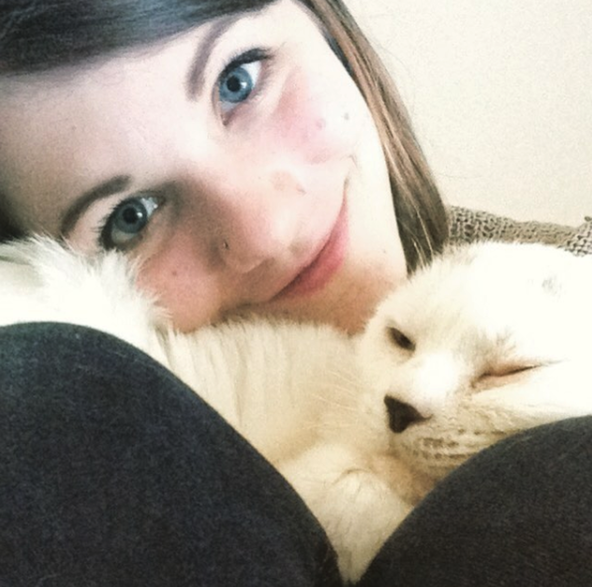 Mitleid Katze
https://www.instagram.com/p/BFF_70QJ2Ia/?taken-by=adventuresofotitis
