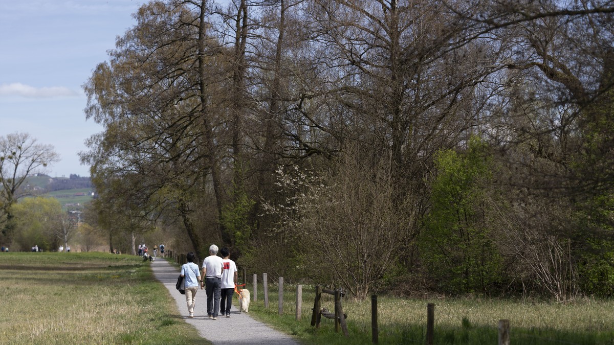 Hundehalter stossen in Frauenfeld Aufseher zu Bode