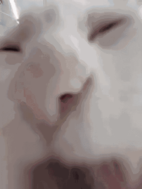 Animiertes GIF