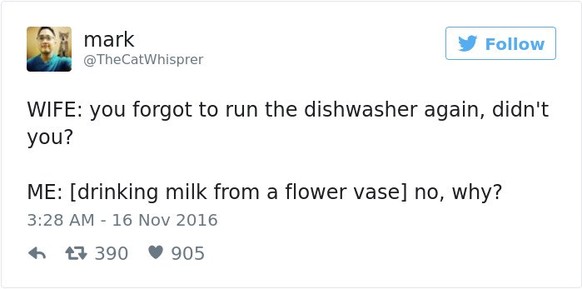 Ehefrau: Du hast wieder vergessen, die Abwaschmaschine laufen zu lassen, oder?<br>Ich: [Milch aus einer Vase trinkend] Nö, warum?