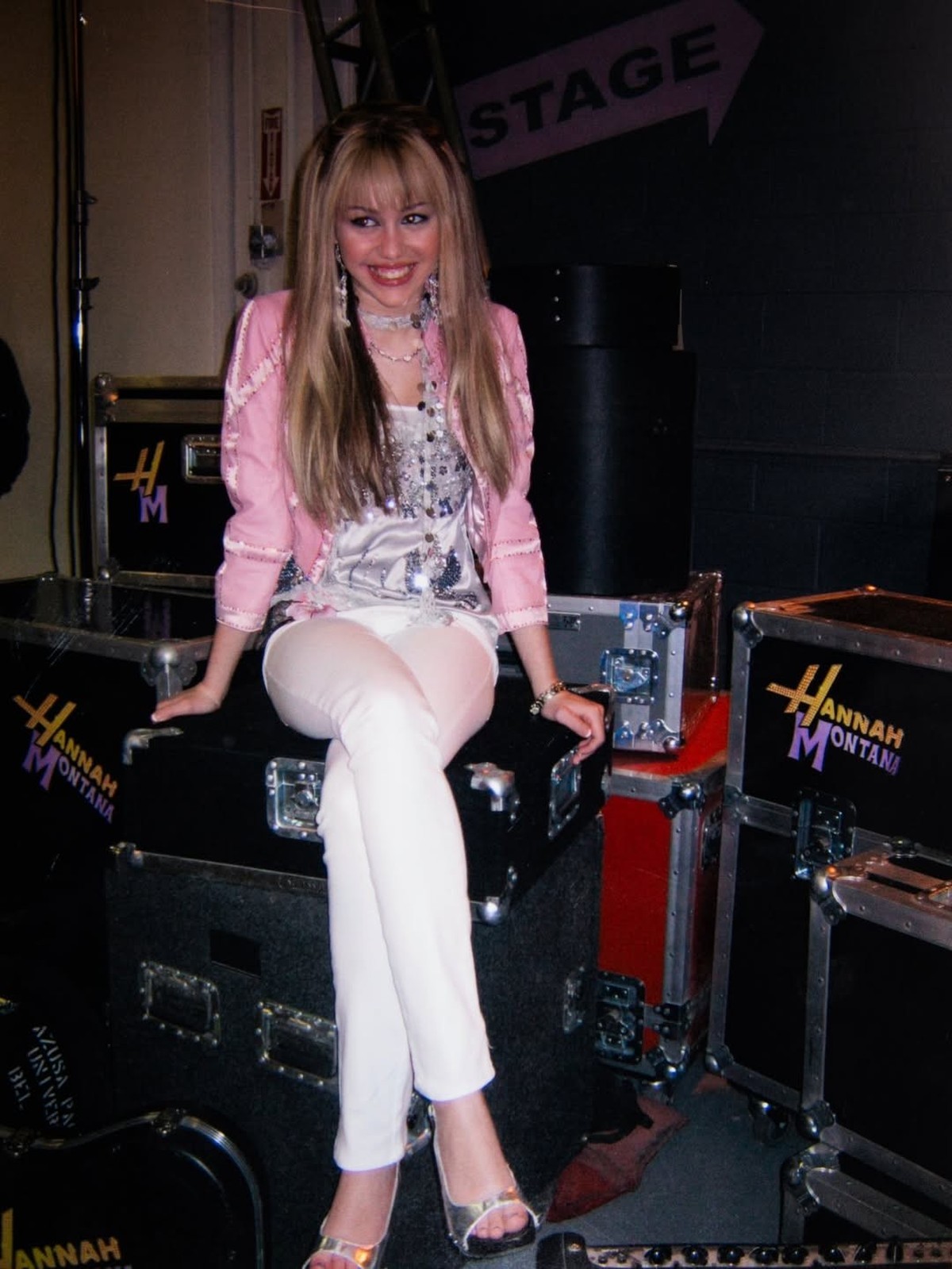 Miley Cyrus interprétait Miley Stewart — qui menait une double vie sous le nom d'Hannah Montana, célèbre chanteuse pop.