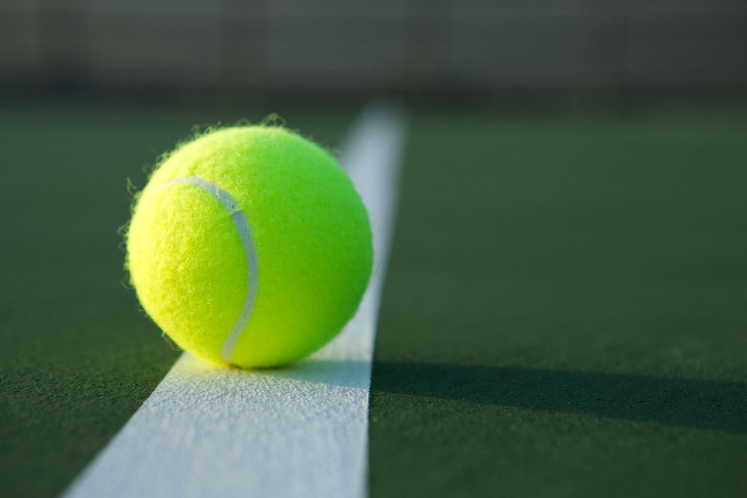 Теннис 10 s Green Ball