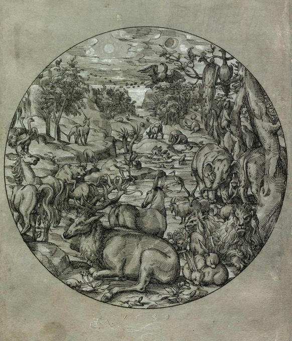 Runder Scheibenriß: die Tiere im Paradies von Christoph Murer, 1580.
https://nbn-resolving.org/urn:nbn:de:bvb:29-bv041445114-7