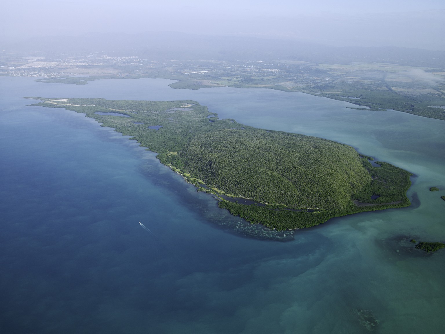 So soll die Bodensee-Insel dereinst aussehen.