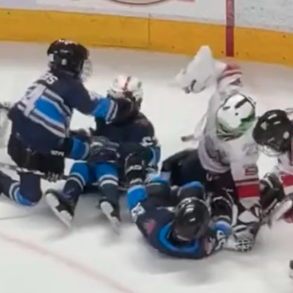 Die Antwort lautet: Diese wilde Schlägerei hat tatsächlich stattgefunden. Und zwar in einer Drittelspause des AHL-Spiels zwischen den Hershey Bears und den Cleveland Monsters im Osten der Vereinigten  ...