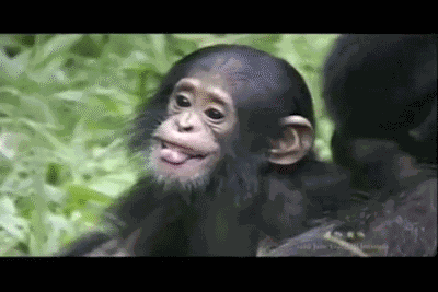 Animiertes GIF