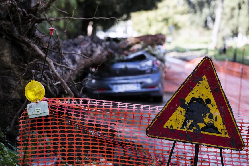 epa07131197 A car is hit by a fallen tree in Terme di Caracalla, Rome, Italy, 30 October 2018. The number of fatalities during the days of extreme weather in Italy rose to 10 on Tuesday. In many citie ...