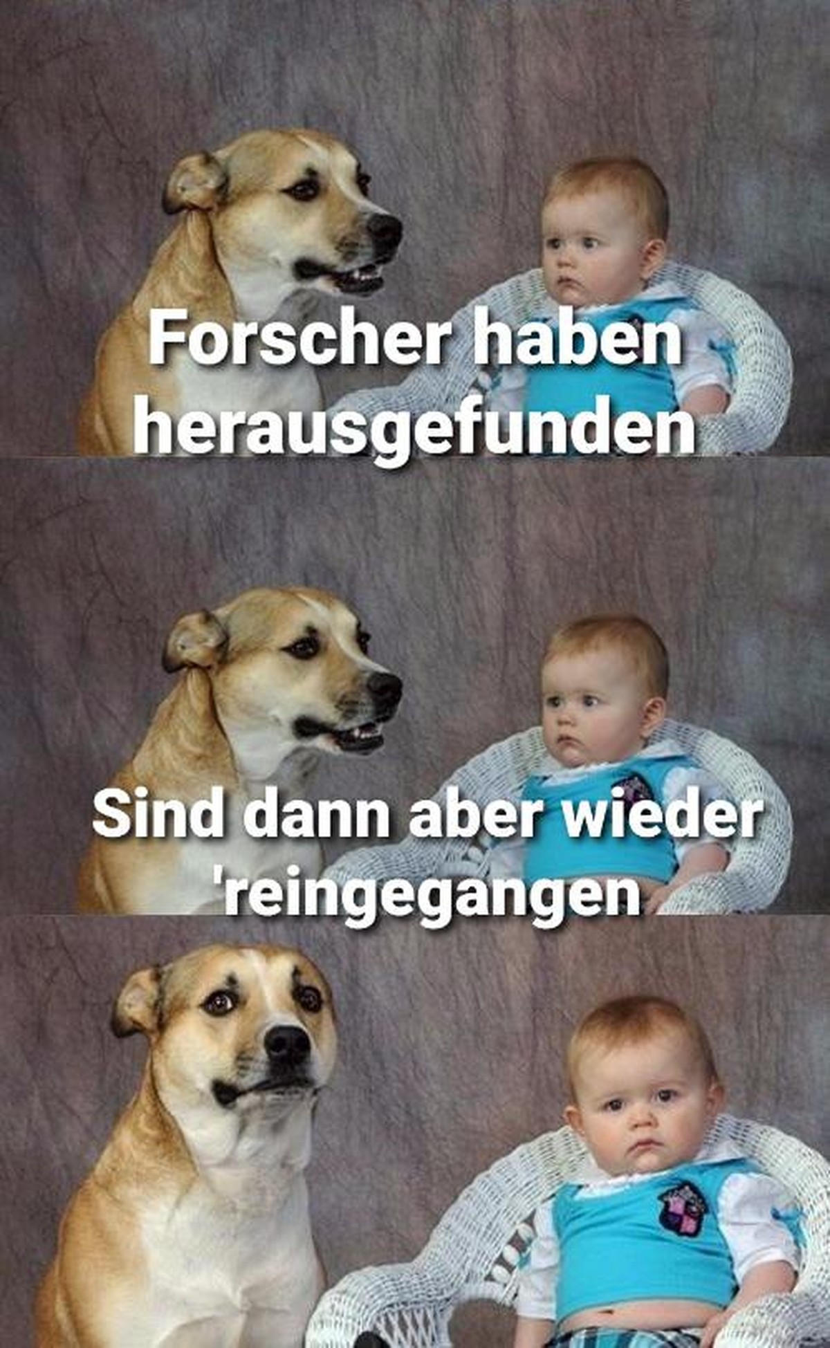 Schnell, bevor alles weg ist! PICDUMP!\n