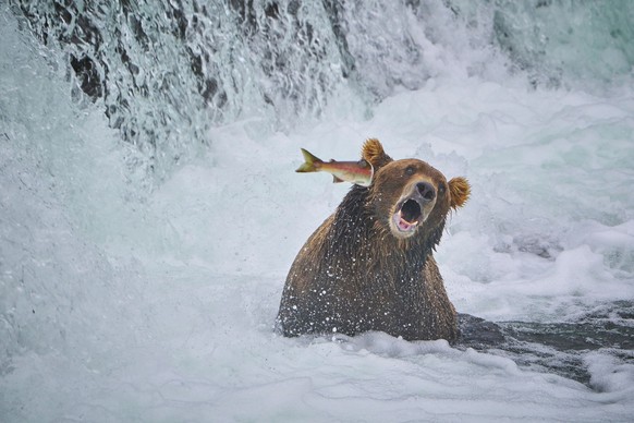 John Chaney, Alaska